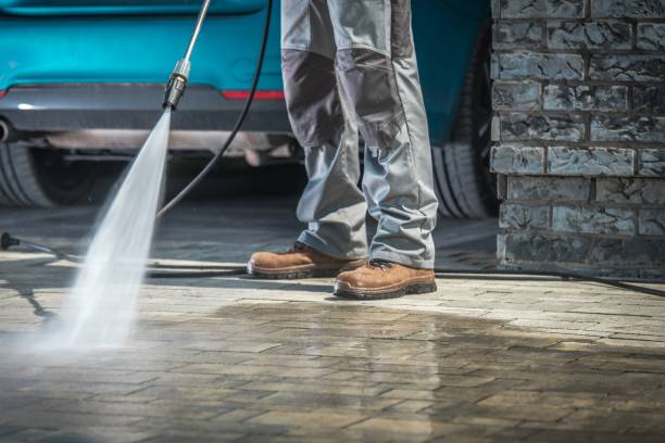 Best House Exterior Washing  in Laporte, CO