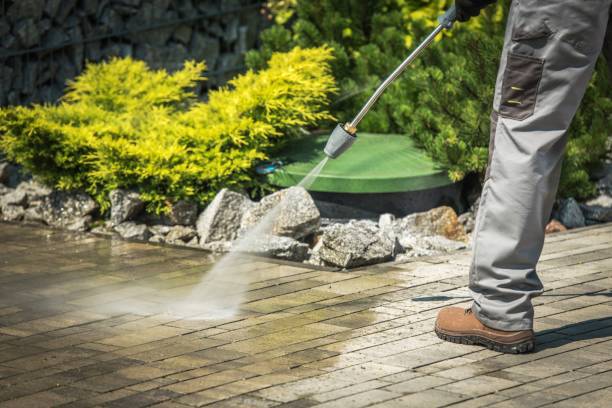 Best Pool Deck Cleaning  in Laporte, CO