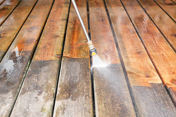 Best Dumpster Area Cleaning  in Laporte, CO